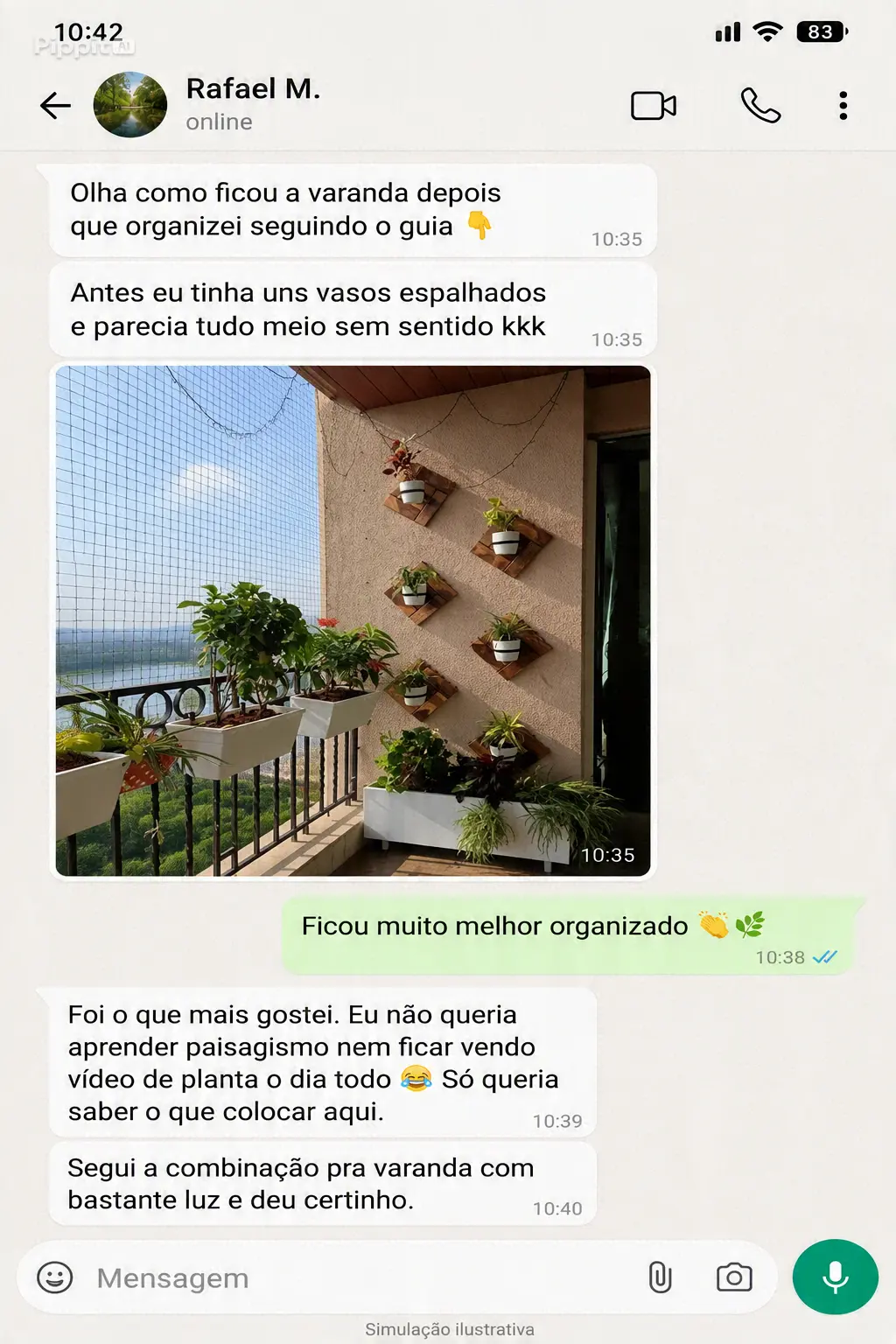 Depoimento de Rafael M. sobre a varanda organizada
