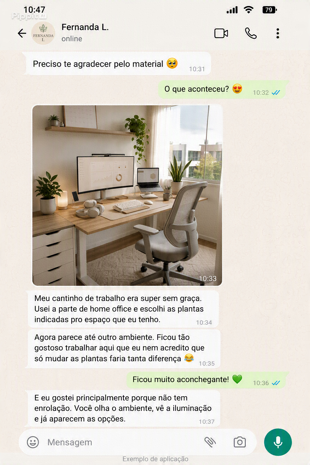 Depoimento de Fernanda L. sobre o home office