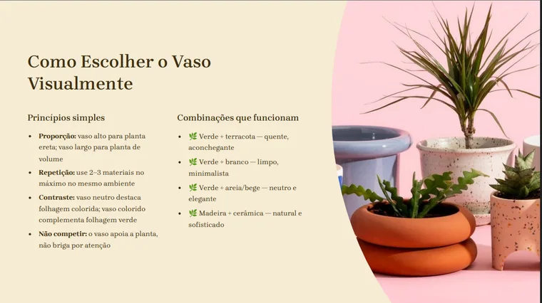 Meu Ap Verde — como escolher o vaso